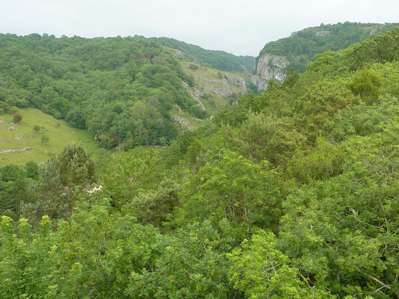 Cheddar Gorge